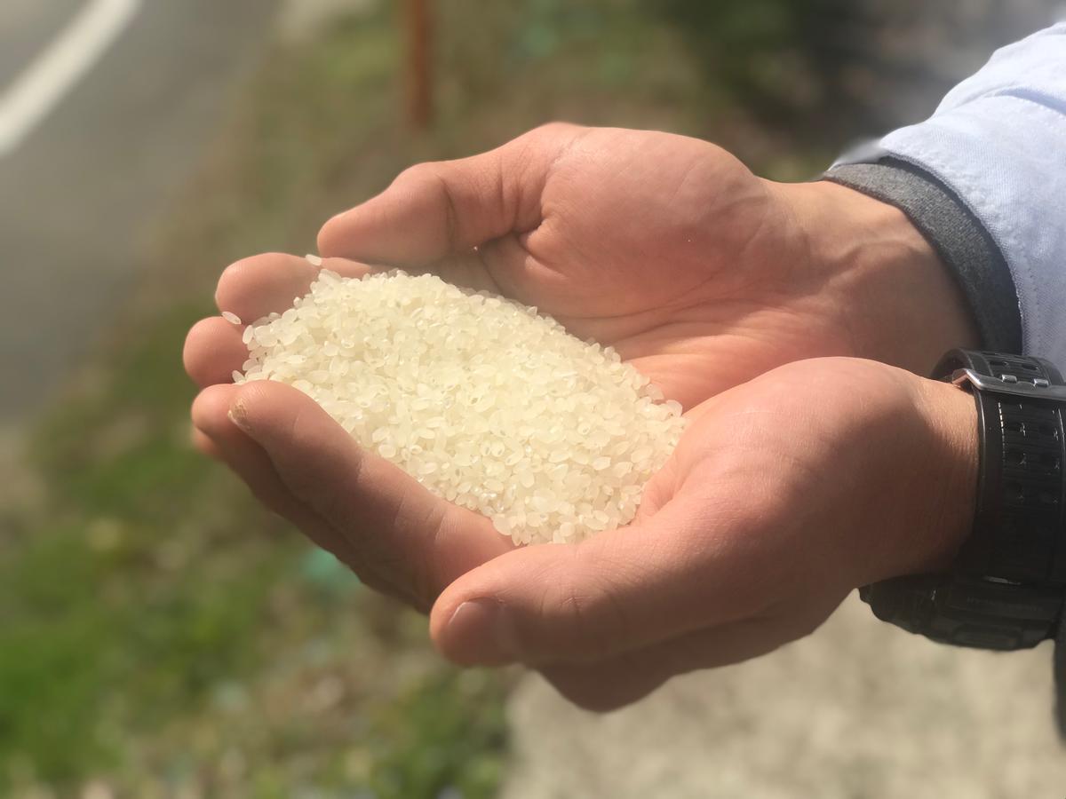 丰后大野lamp民宿 大分 外观 照片